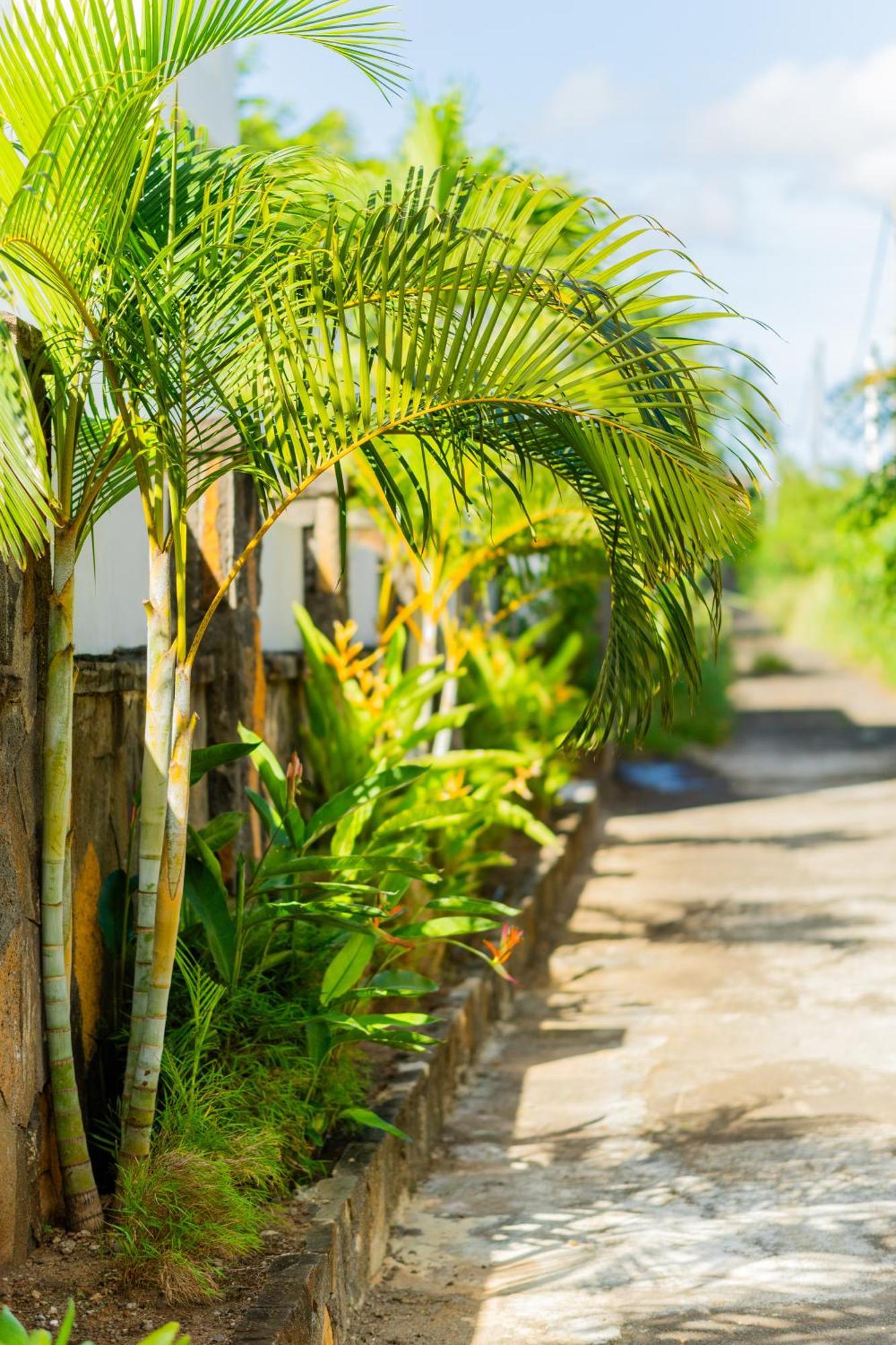 Palm Biche Residence Trou aux Biches Εξωτερικό φωτογραφία